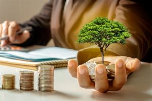 How to Build a Smart Investment Plan from Scratch